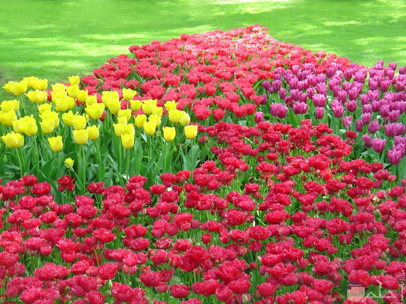 صور حدائق مجسمة ومنزلية روعة