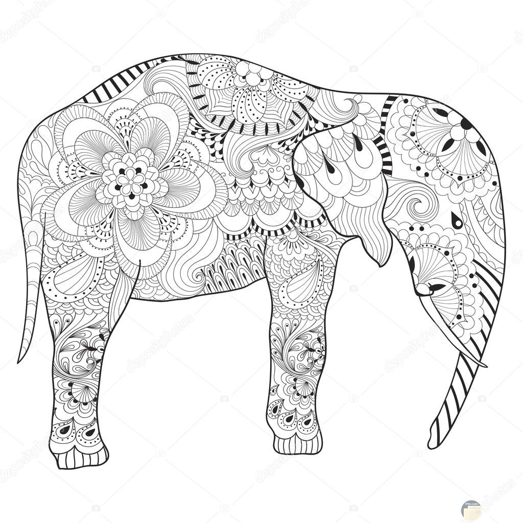 صورة فيل لتلوينها