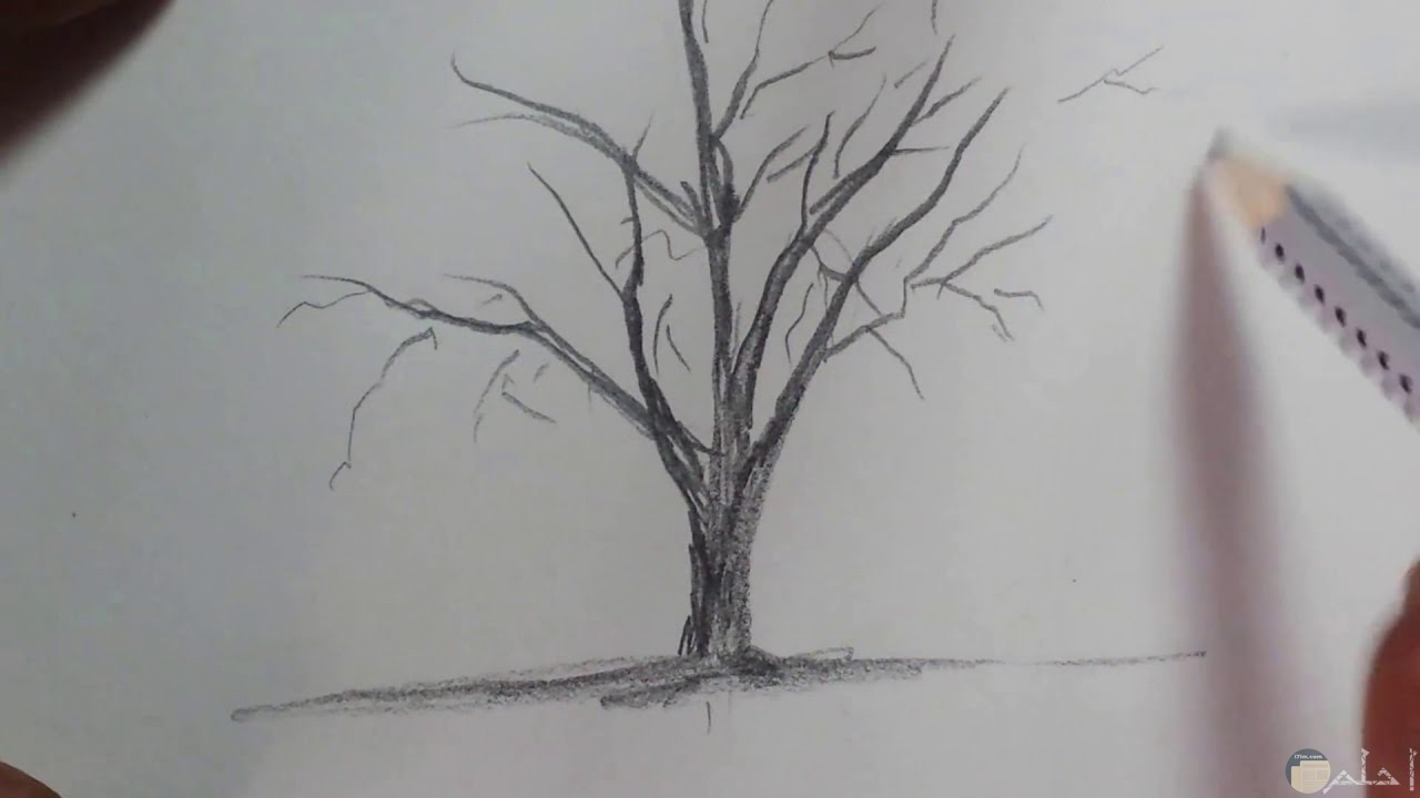 رسومات بالقلم الرصاص %D8%B1%D8%B3%D9%85-%D8%B4%D8%AC%D8%B1%D8%A9