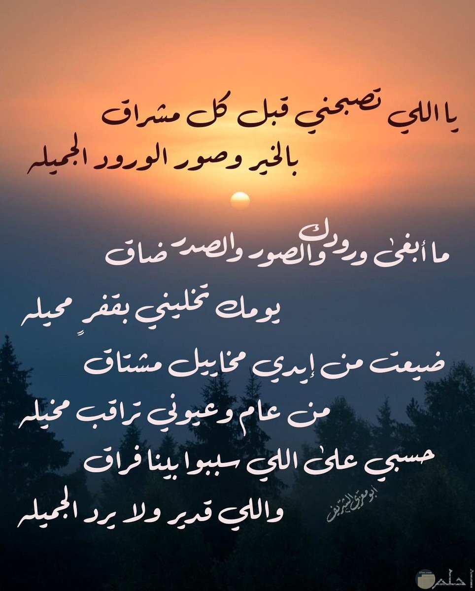 شعر حب فصحى