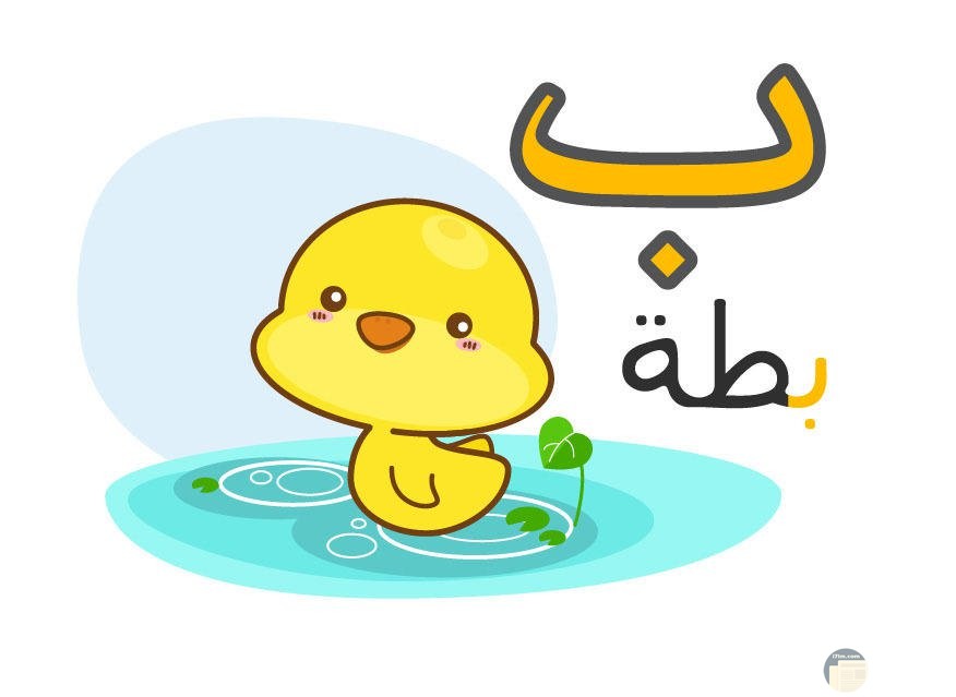 صور حروف اللغة العربية رائعة ومميزة جدا