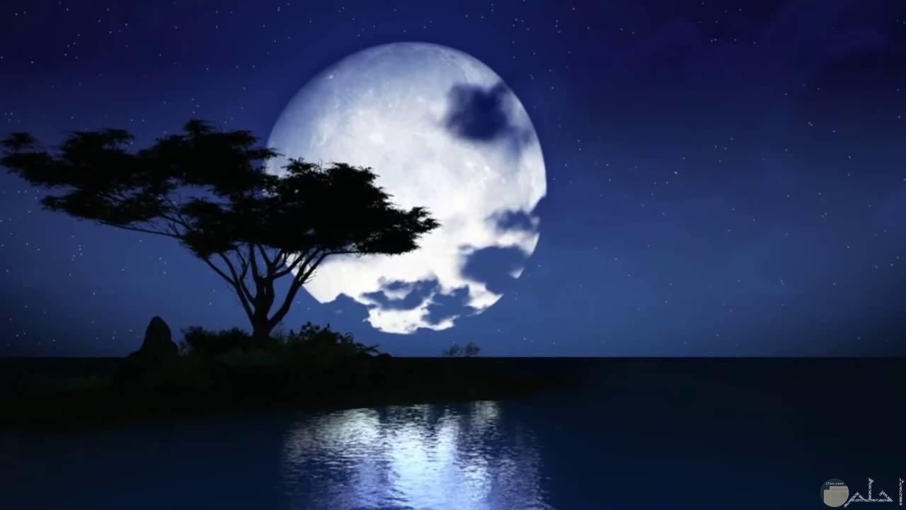 القمر مع الشجر والماء