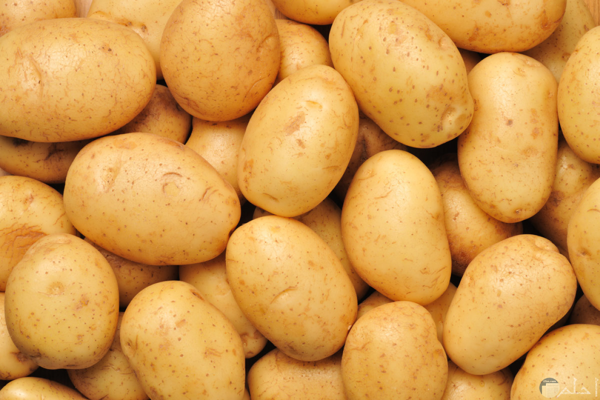 بعض حبات البطاطس التي تعتبر من الخضار النشوية ذات الطعم الحلو المذاق