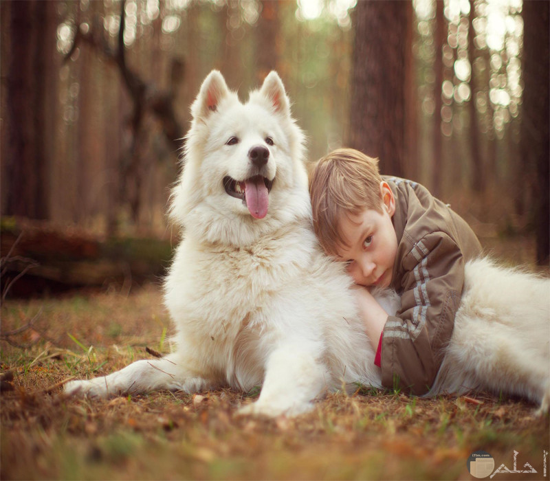 ولد مع كلب أبيض جميل 
