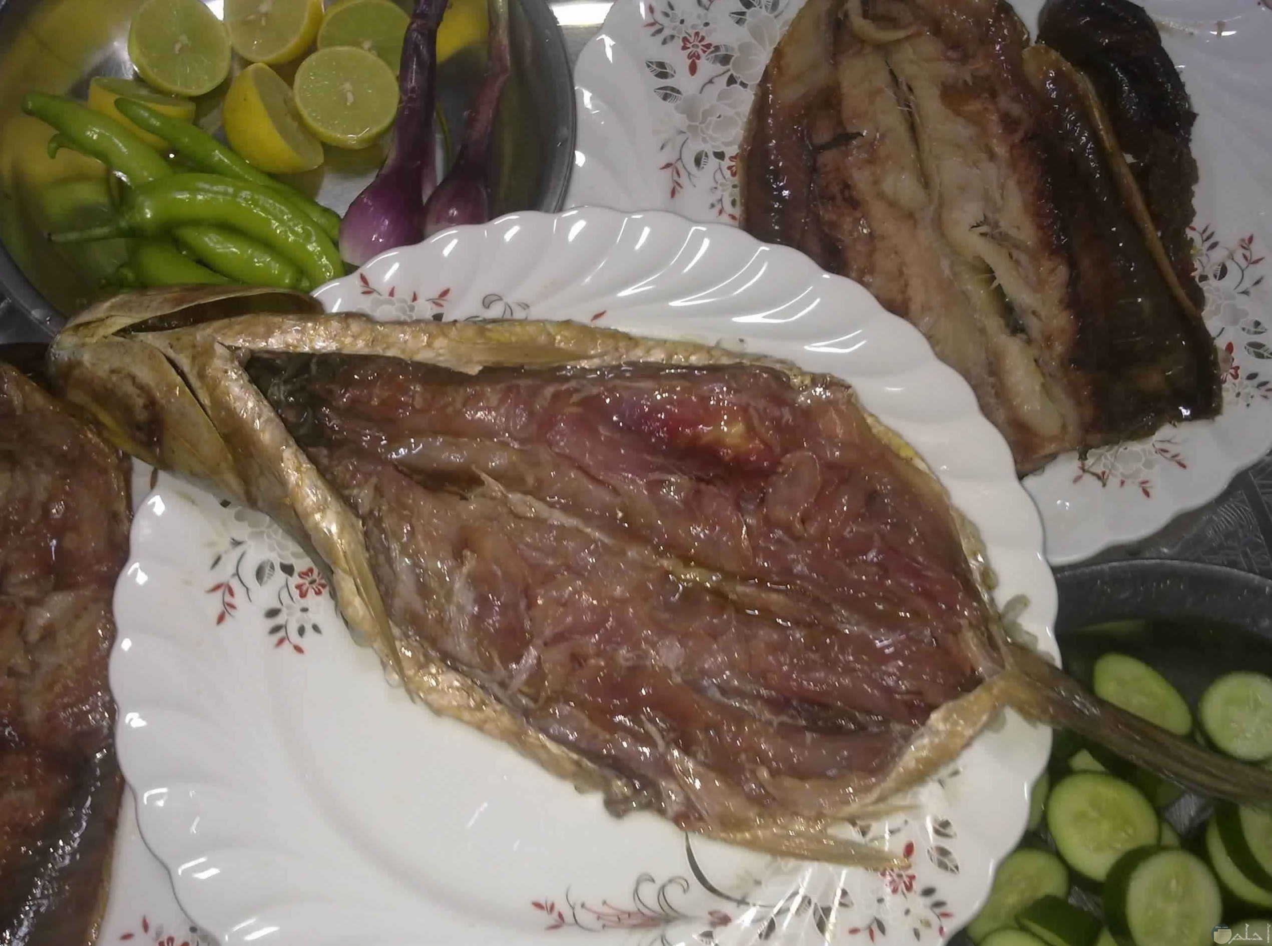 صورة لسمكة الفسيخ علي طبق باللون الأبيض للأكل