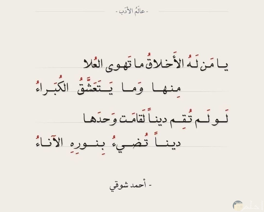 صور شعر فصحي رائع ومعبر جداً