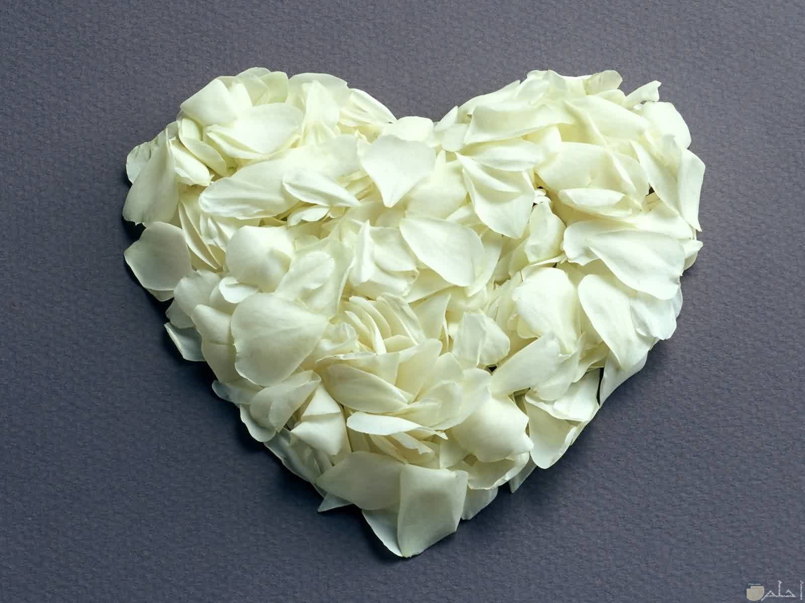 صحبة من الزهور تشكل قلب أبيض