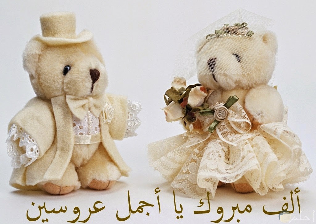 عبارة تهنئة للعروسين جميلة مع دبدوبين بملابس الزفاف