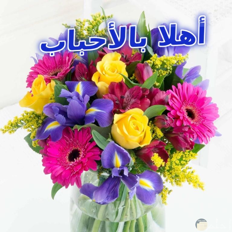 صورة بها باقة جميلة من الورود المختلفة ومدونه بتحية اهلا بالاحباب