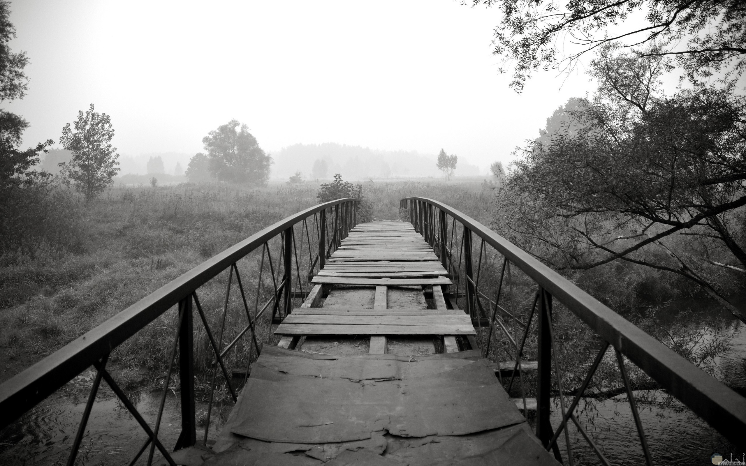 صورة حزينة لمنظر جسر متهالك وقديم
