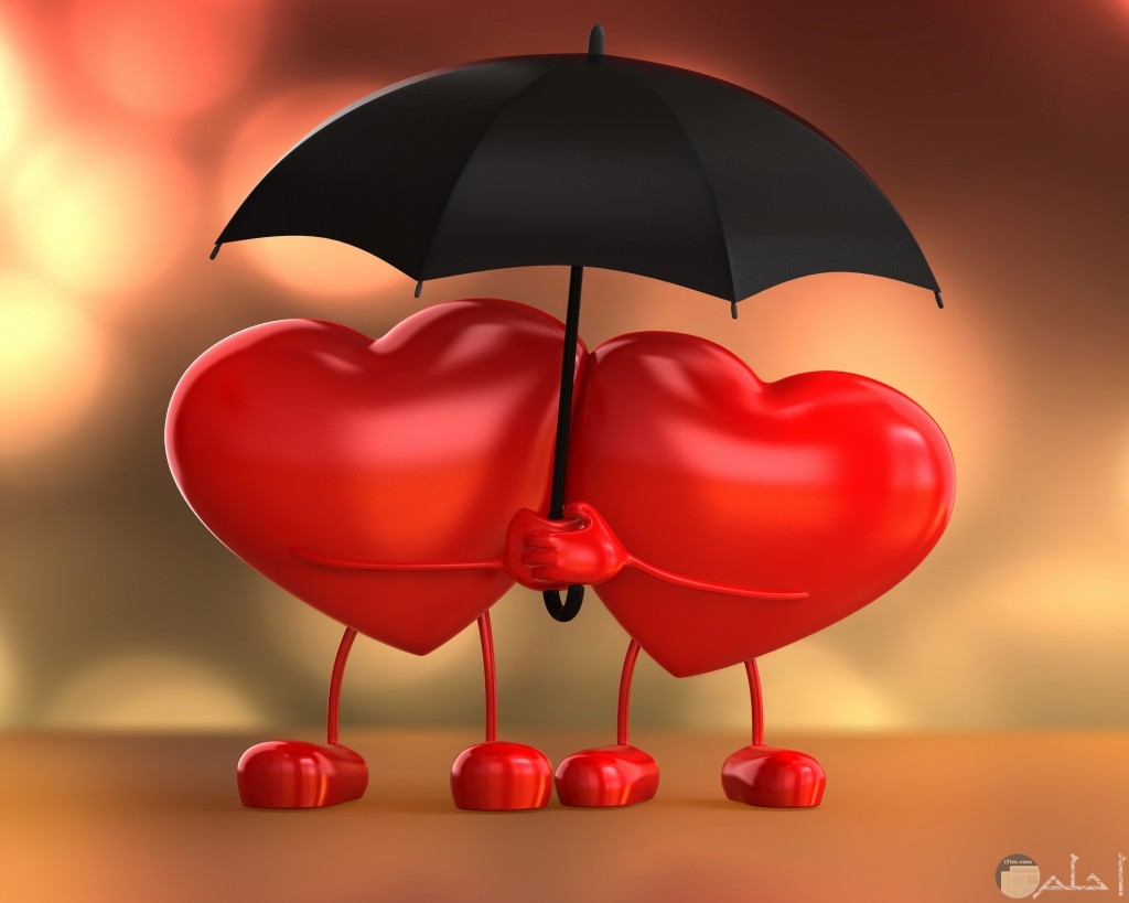 صورة جميلة رومانسية لقلبين مع بعض يحملان مظلة 