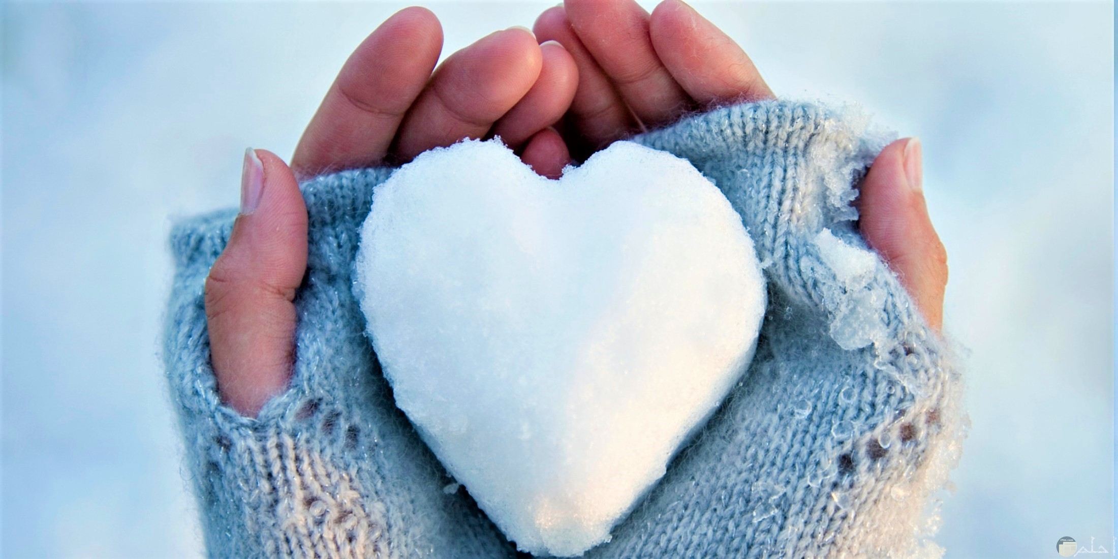 قلب من الثلج يعبر عن دفء المشاعر