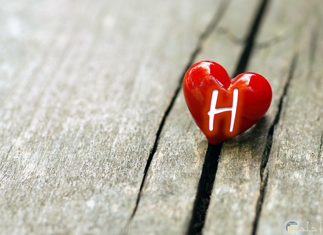 قلب أحمر يحمل حرف H