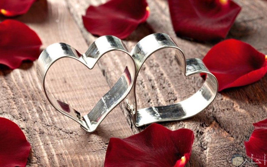 قلوب فضية مع زهور حمراء رومانسية