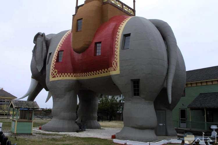 منزل على شكل فيل مصمم على الطراز الحديث