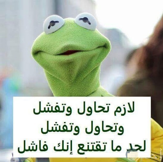 شاهد أجمل صور مضحكة جدا 2019