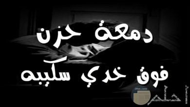 اقتباسات سنابشات اقوال و رمزيات حلوه For Android Apk Download