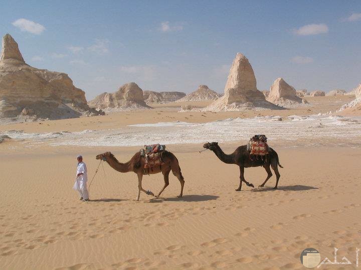 صور ة سياحة بمصر جميلة بجودة hd
