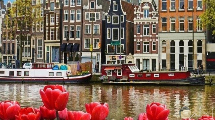 صور طبيعية هولندا