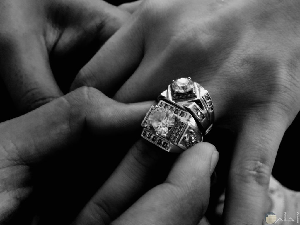 زوج يضع خاتم الزواج بايدى عروستة