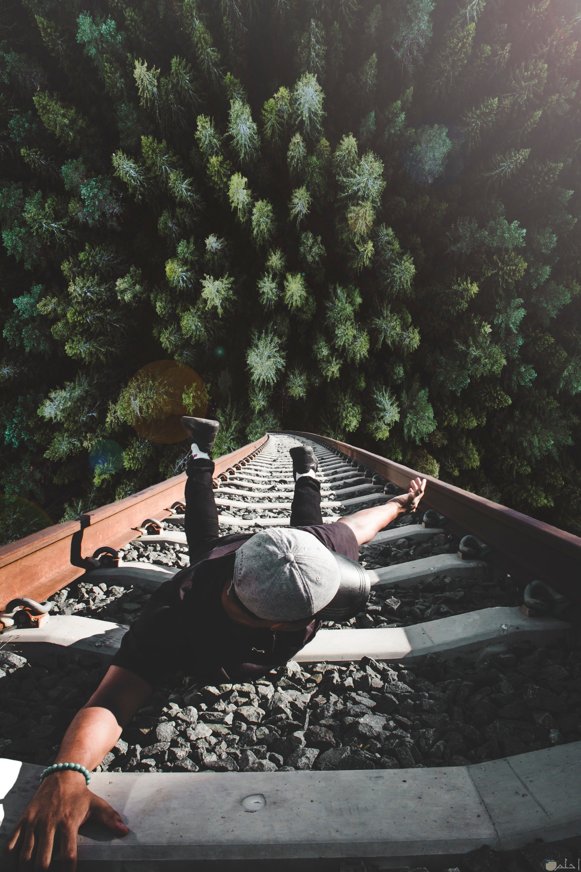 صورة أكشن مميزة لشخص يمثل أنه سيقع وممسك بأحد قطبان سكة القطار وتحته غابة كبيرة