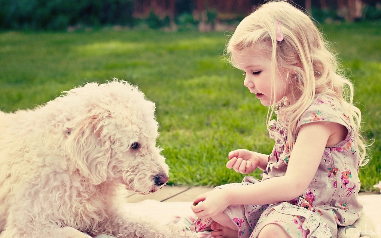صورة بنت تلعب مع كلبها المحبب
