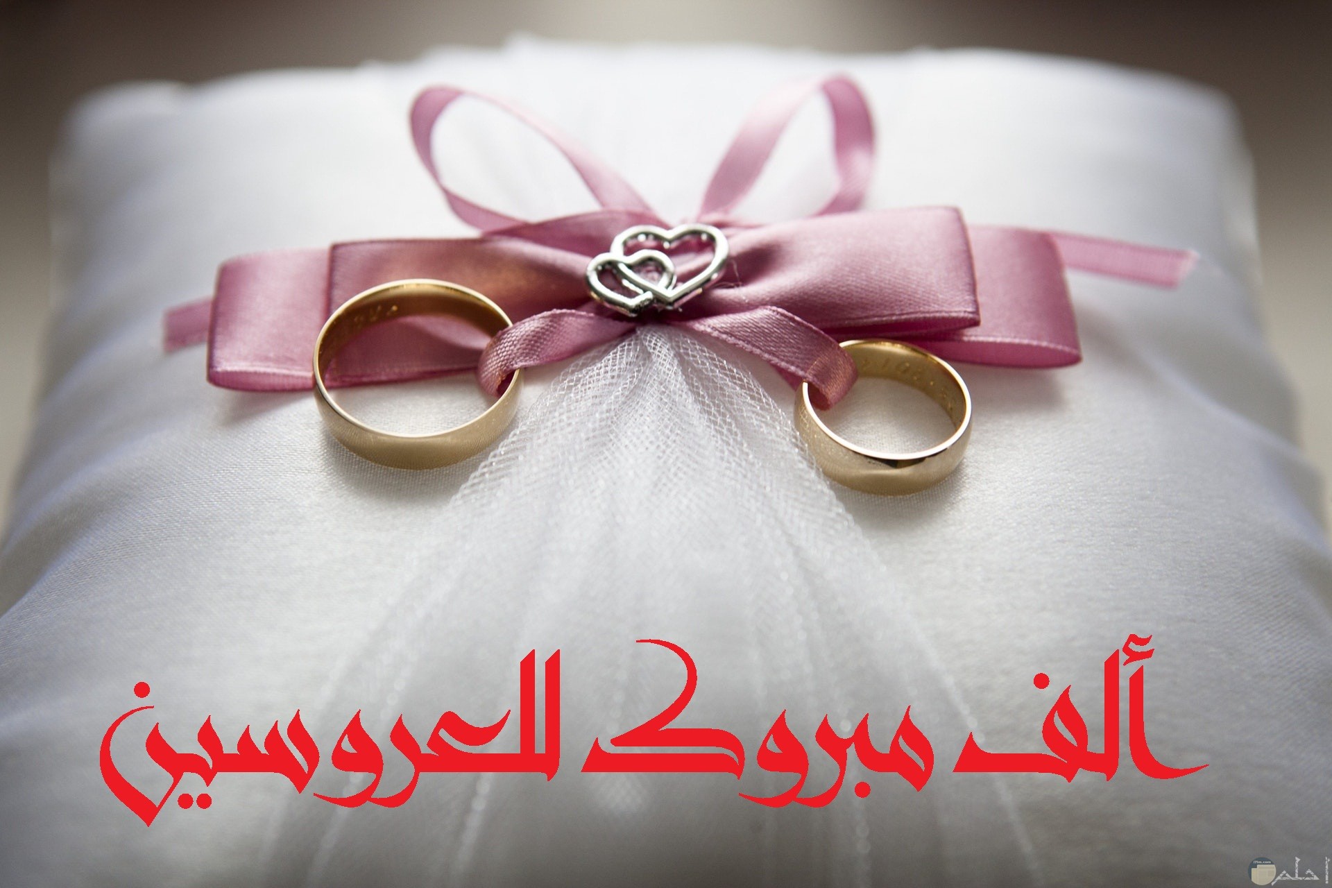 صورة تهنئة جميلة جدا بمناسبة الزواج مكتوب عليها ألف مبروك للعروسين بخط مميز مع خاتمين