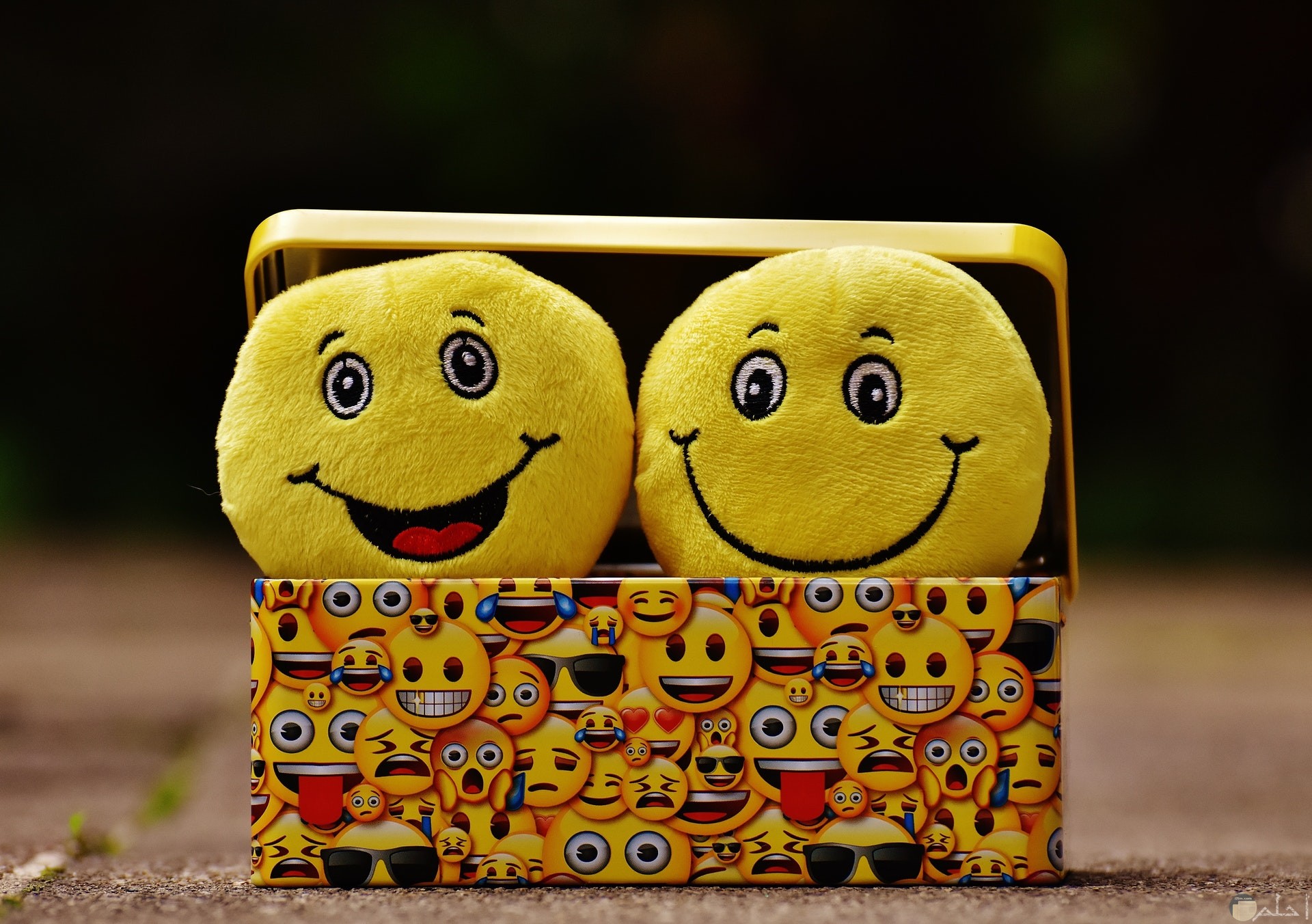صورة جميلة لمجموعة الإيموجي المختلفة مجتمعة معا علي الصندوق وداخل الصندوق إتنين إيموجي مبتسم وضاحك