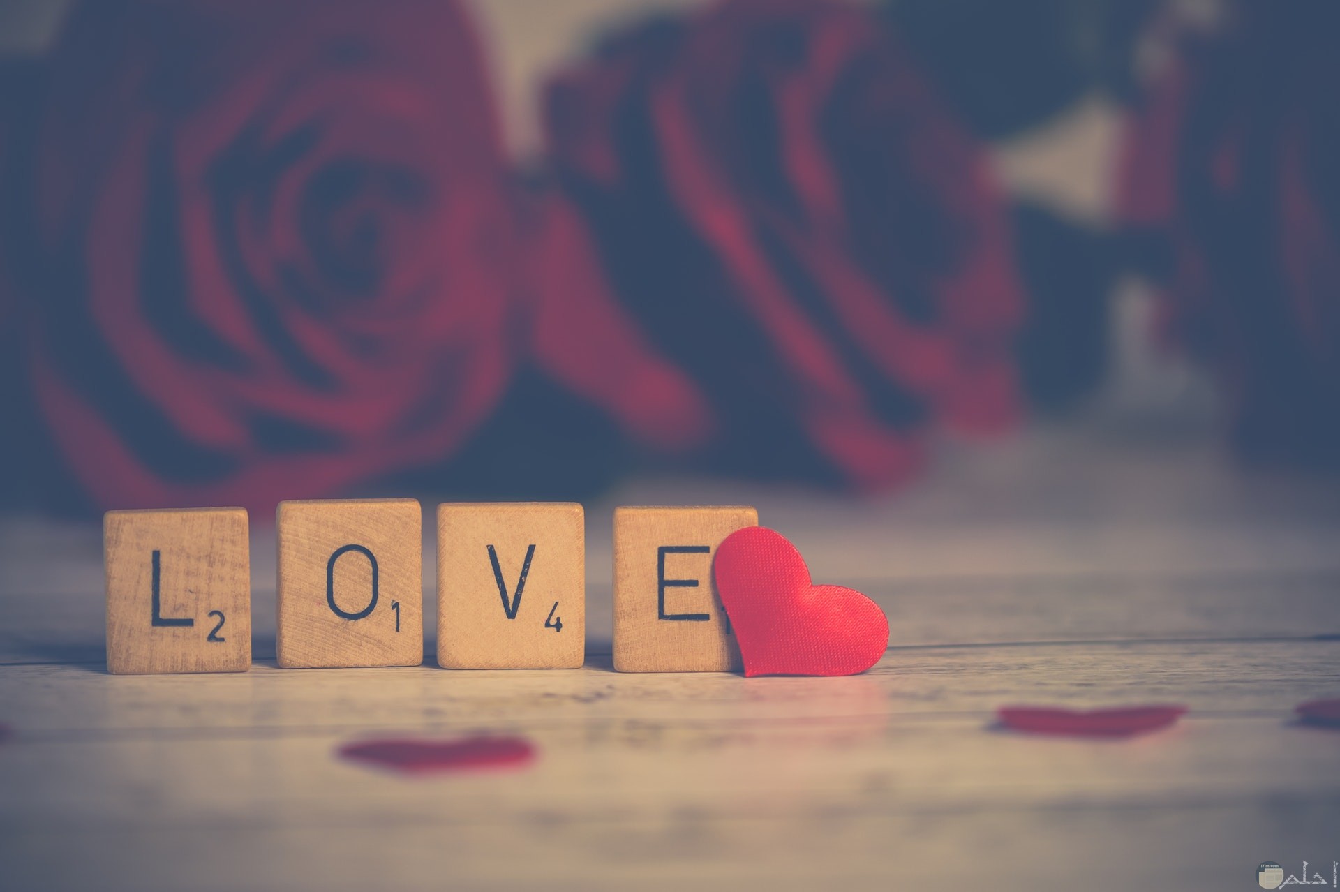 صورة حب حلوة بوجود قلب أحمر مع كلمة أحبك مع خلفية ورد أحمر