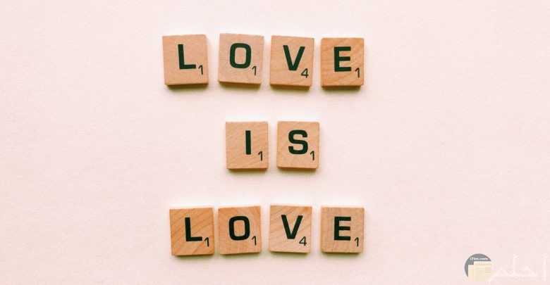 صورة حب مميزة بها جملة الحب هو الحب مع خلفية وردية جميلة