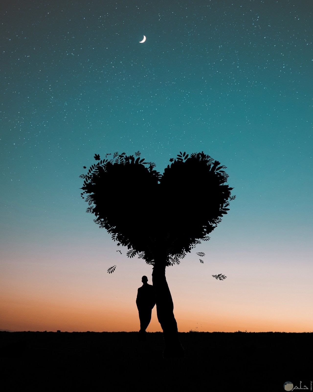 صورة رومانسية جميلة لشجرة علي شكل قلب بجانبها رجل