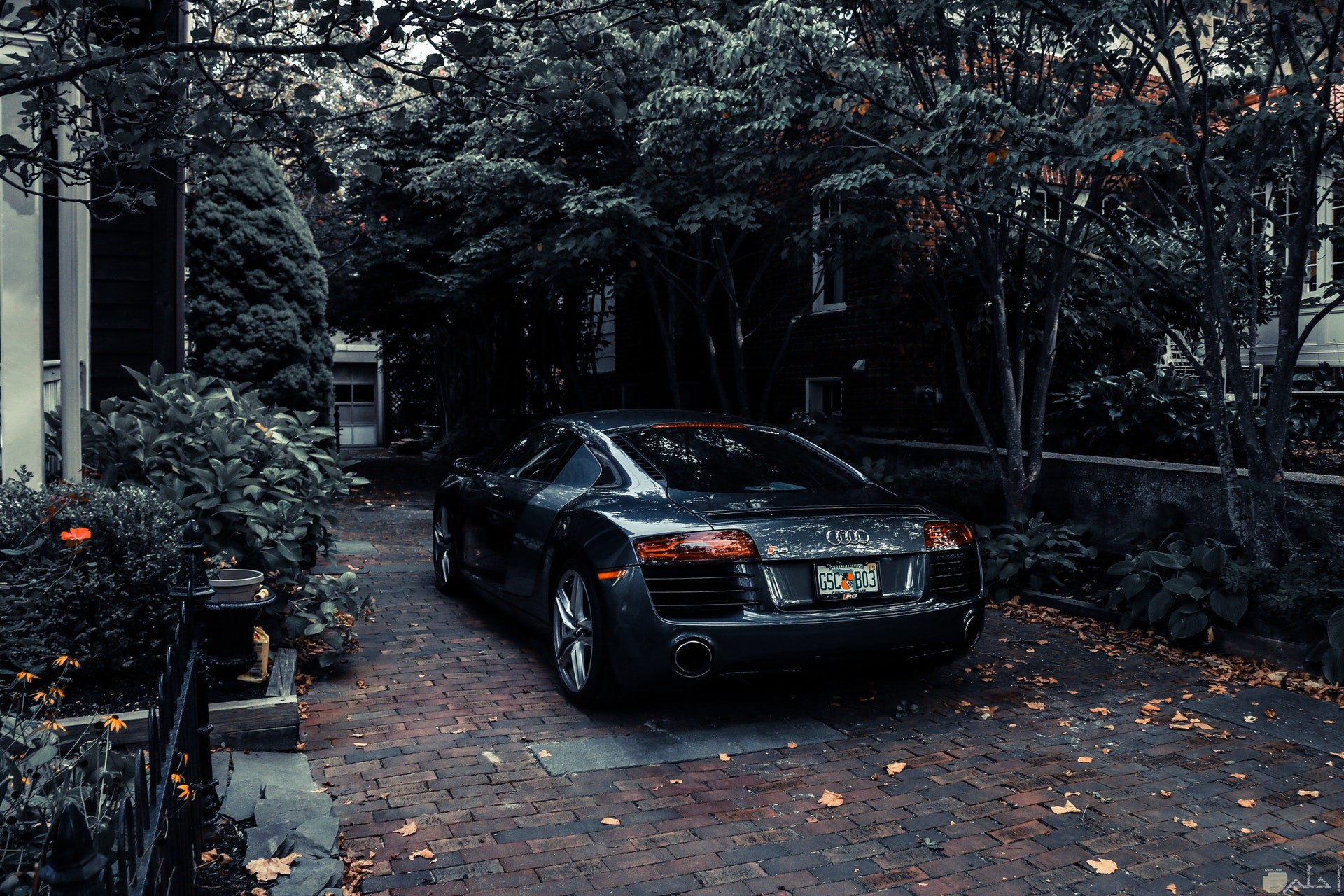 صورة سيارة أودي فخمة جميلة جدا بجوارها أشجار للفيس بوك