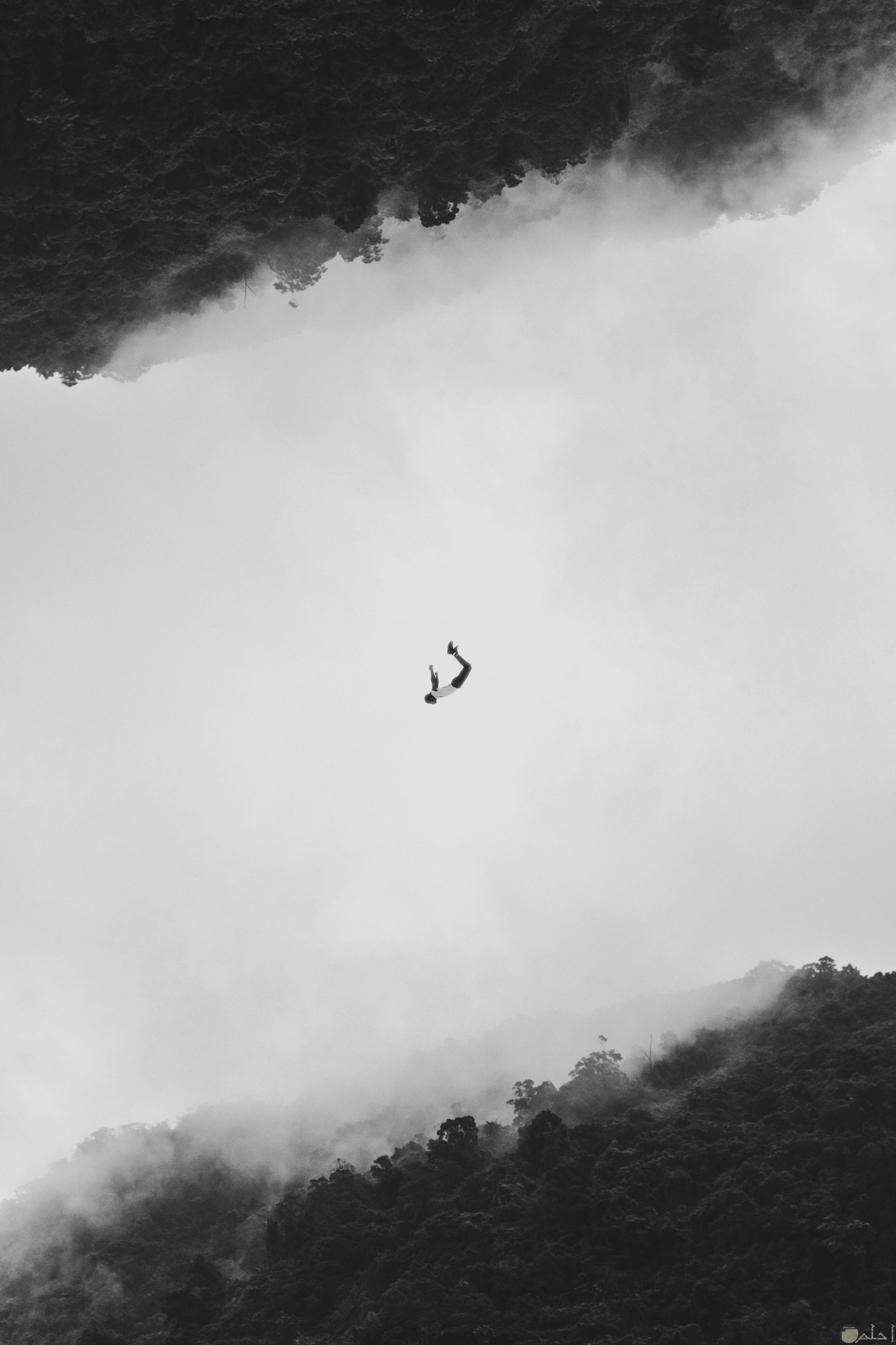صورة مميزة بالأبيض والأسود لغابة وإنعكاسها أعلي الصورة ورجل معلق في الهواء