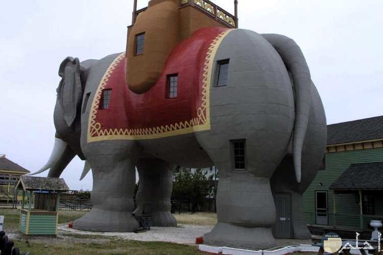 منزل غريب على شكل فيل