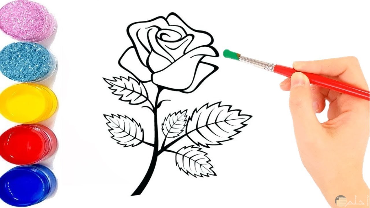 صور ورد مرسوم بالرصاص وخطوات تعليم رسم الورد بطريقة احترافية