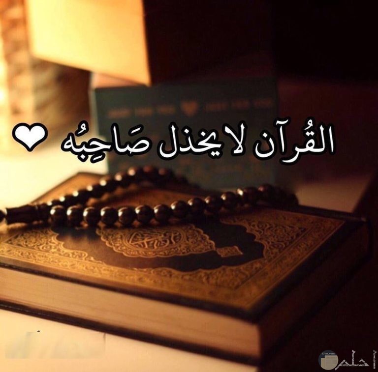 صور خلفيات حلوة للجوالات واللاب توب