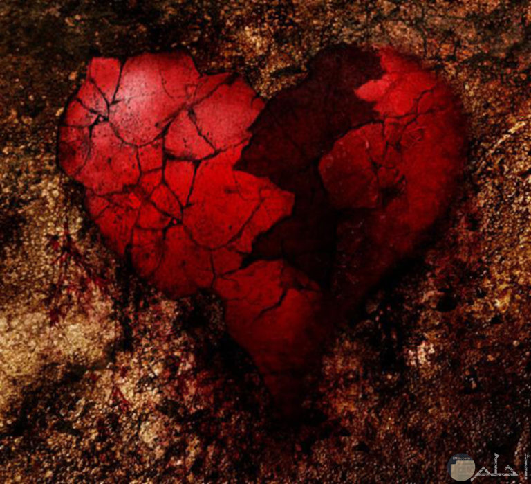 صور قلوب مجروحة ومكسورة 10 صور حزن وندم