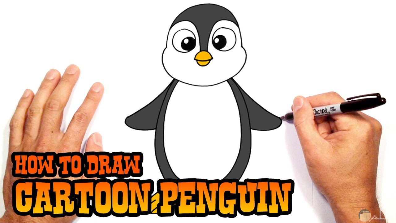 طريقة رسم البطريق الملون