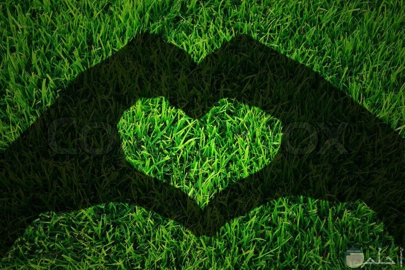 قلب اخضر رومانسي