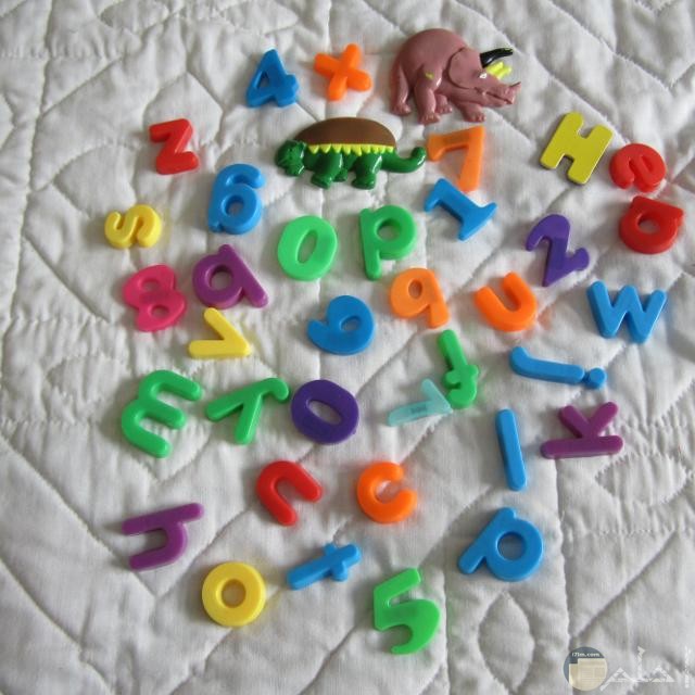 لعبة الحروف والأرقام مع أشكال حيوانات