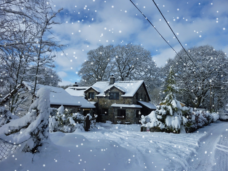 منزل وغابة وثلوج