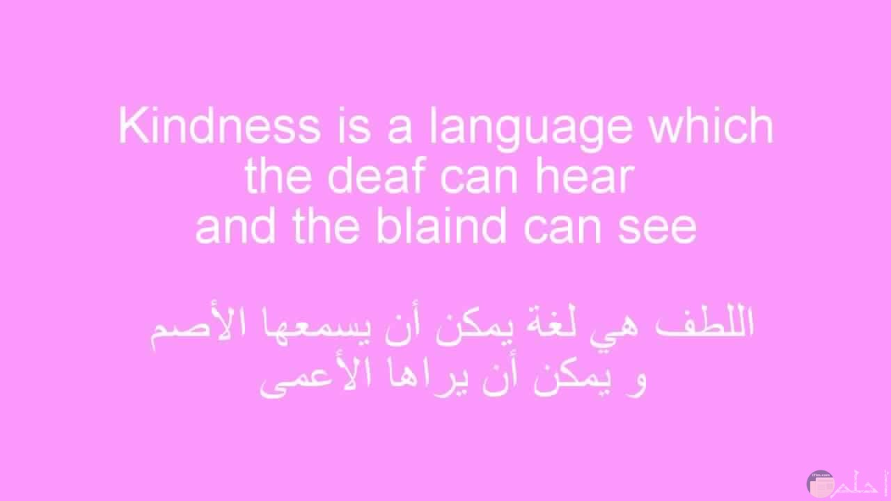كلمات رقيقة بالإنجليزية و مترجمة بالعربية.
