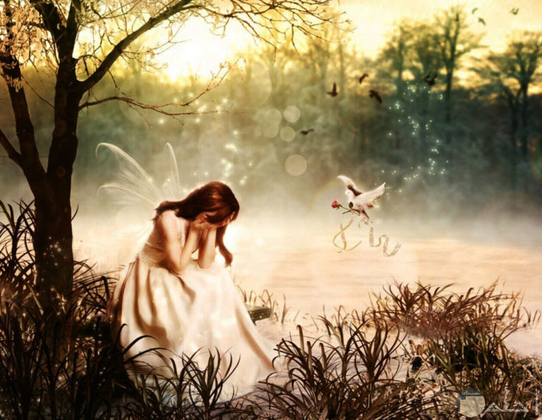 صور كرتون معبرة عن كل شيء لمحبي الصور الكارتونية