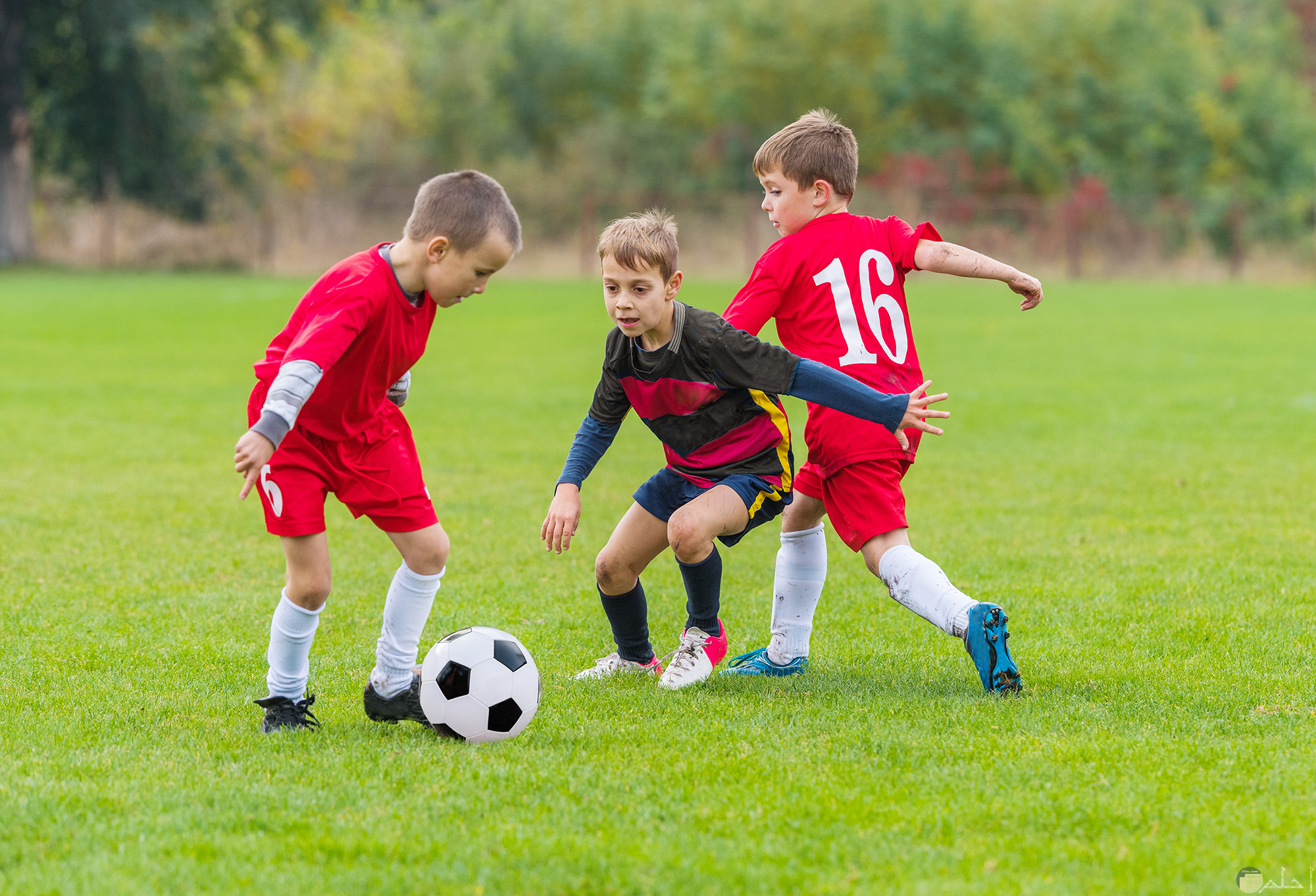 أطفال صغار يلعبون كرة القدم