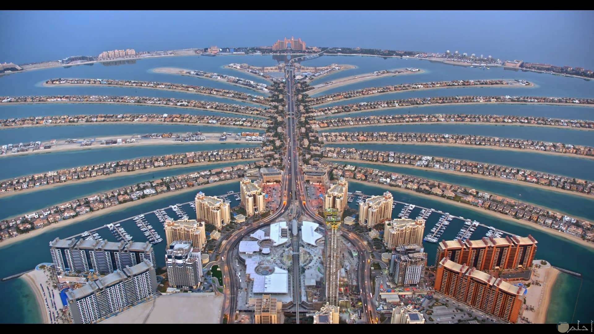 ميناء دبي.