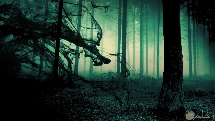 صورة مخيفة من الغابة