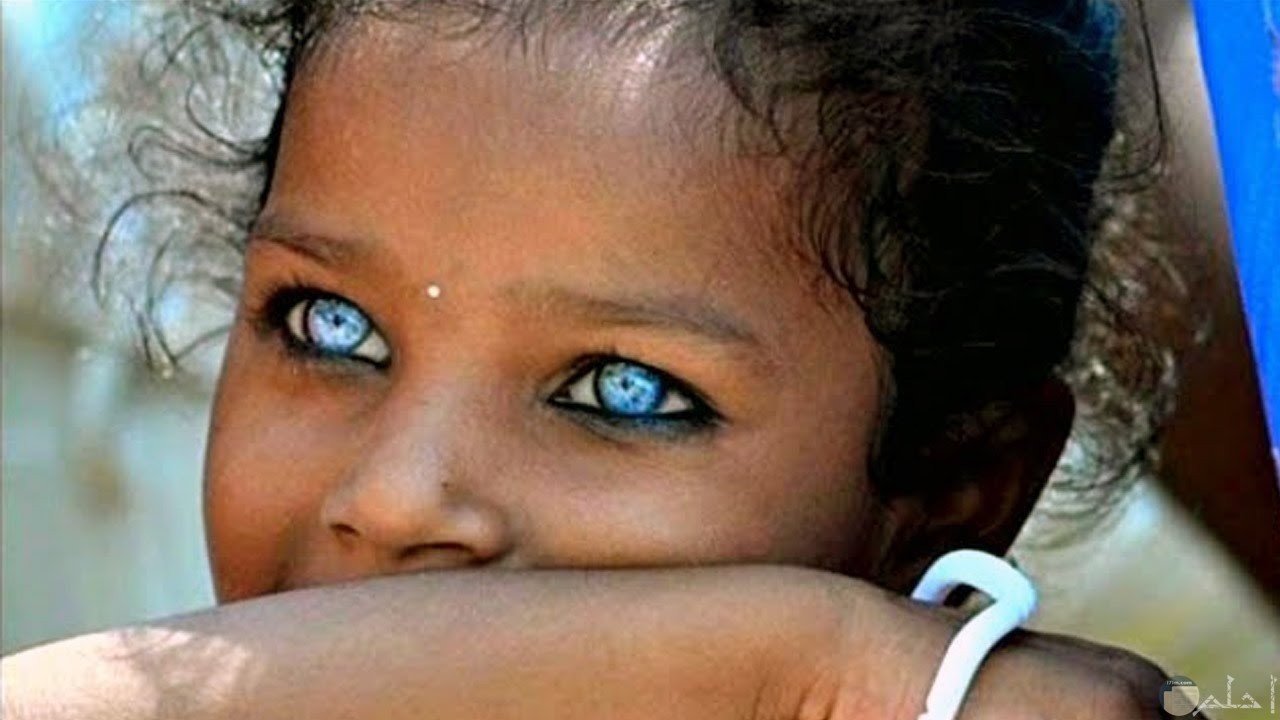 طفلة سمراء بعيون زرقاء جميلة.