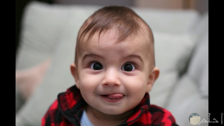 تنزيل صور مضحكة وكوميدية للأطفال والحيوانات