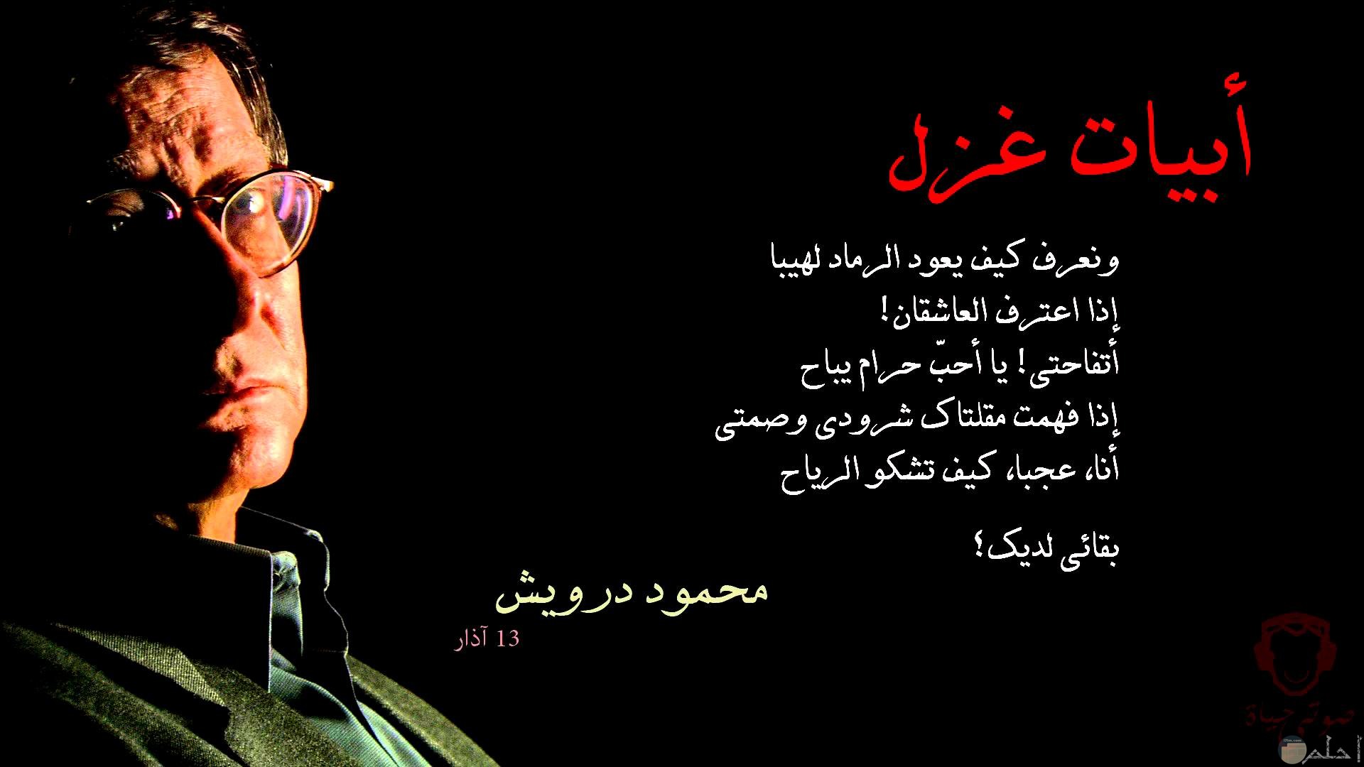 أجمل أبيات الغزل للشاعر محمود درويش.