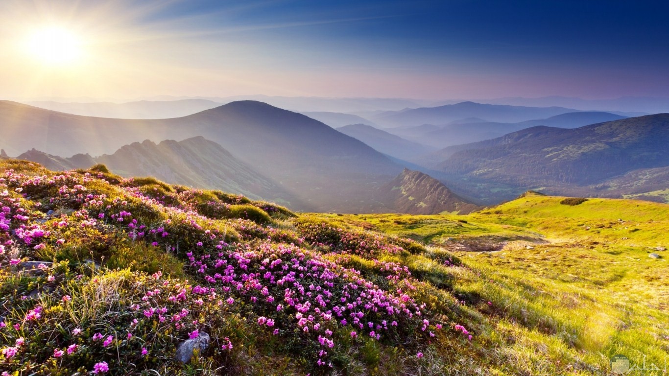 جمال الجبال و الأعشاب البرية و الأزهار الجبلية الجميلة.